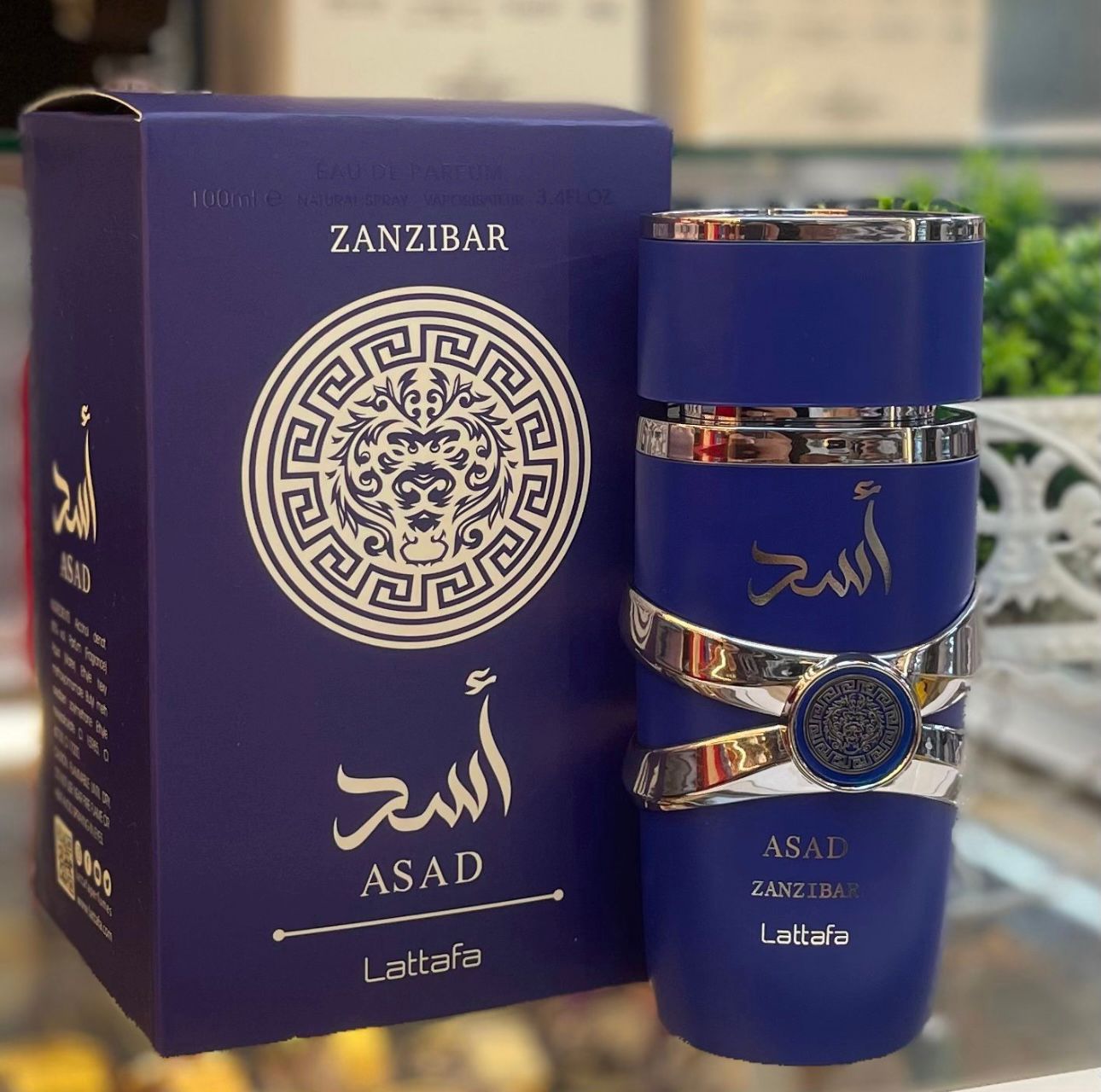 Lattafa Asad Zanzibar Eau de Parfum 100 ml
